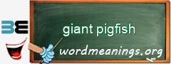 WordMeaning blackboard for giant pigfish